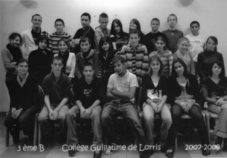 Photo de classe 3B de 2007, Collège Guillaume De Lorris - Copains d'avant