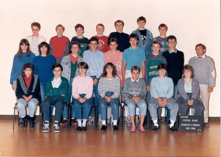 Photo de classe 3 ème 5 de 1987, Collège L'oiseau Blanc - Copains d'avant