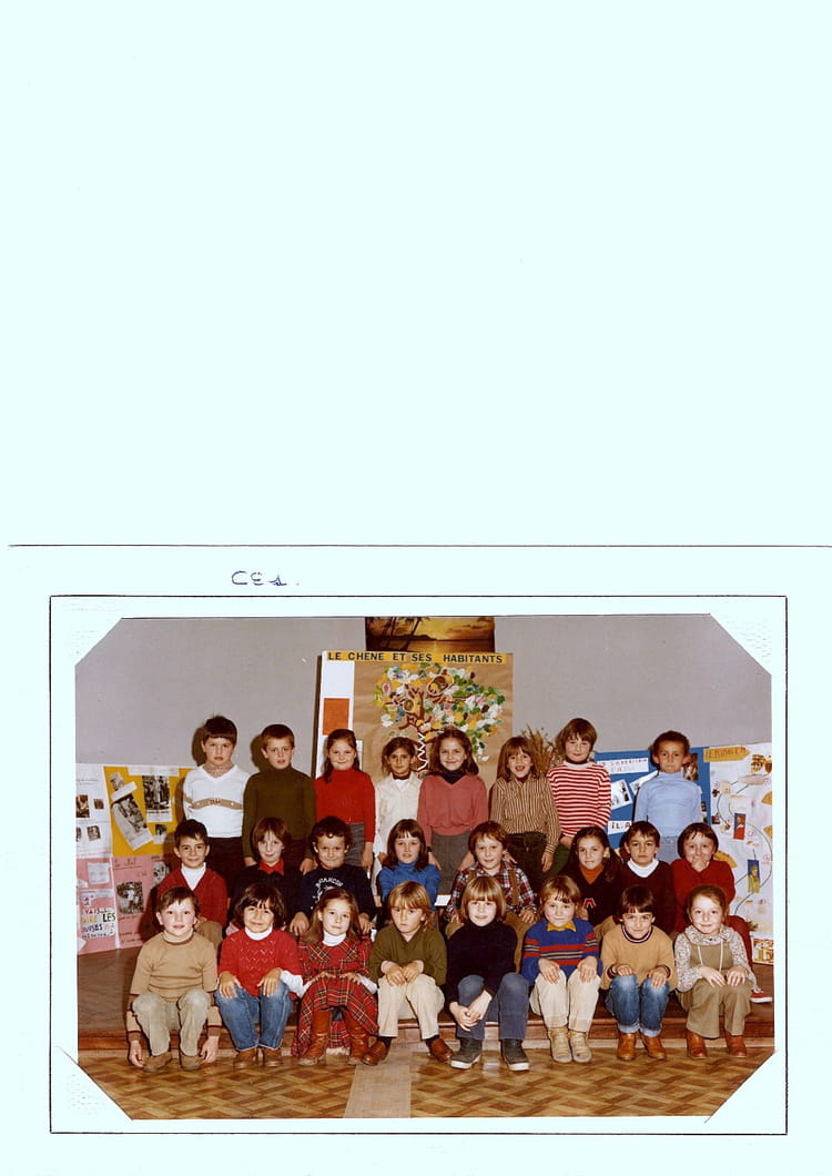 Photo de classe CE1 de 1979, Ecole Sainte Jeanne D'arc (Gap) Copains